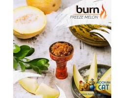 Табак Burn Freeze Melon (Дыня Мята) 25г Акцизный Табак Burn Freeze Melon (Дыня Мята) 25г Акцизный